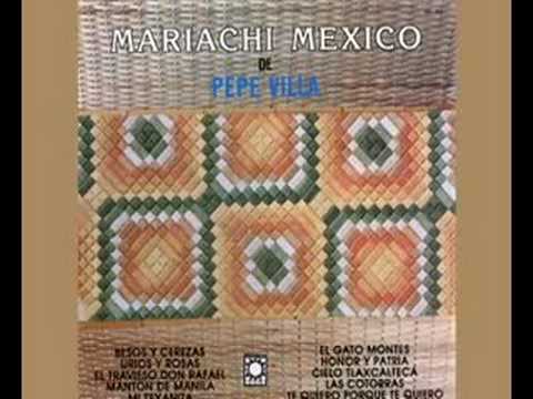 Mariachi Mexico de Pepe Villa  Mi Texanita