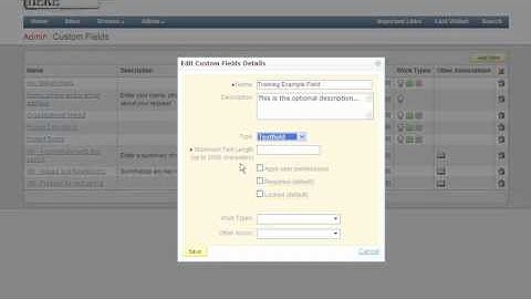 Adding Custom Fields to Issues