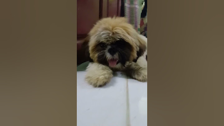 Mind voice😁#comedy #shortvideo #funny #tamilcomedy #trending #viral #video #dog #shorts #subscribe