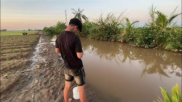 Hành trình đi cấm câu cá  ban đêm cùng anh em (@chuyên đi đêm)