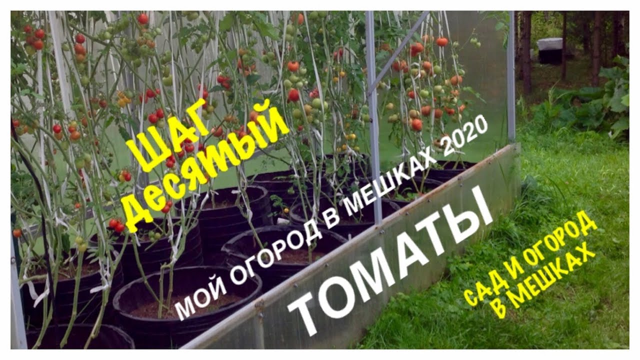 Огородвмешках Рф Интернет Магазин Огородвмешках Рф Интернет Магазин