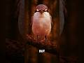 ​"These animals look harmless—until you see how they actually hunt. #shorts