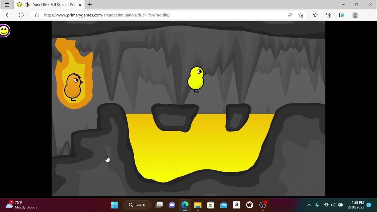 Duck Life 4 Full Gameplay Walkthrough Part 2 (Read Description