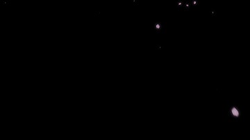 Free footage cherry blossoms (falling down)