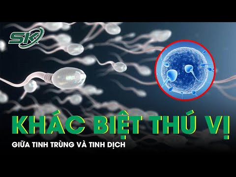 Video: Giải phẫu và sinh lý con người: Trứng ở nam giới trông như thế nào