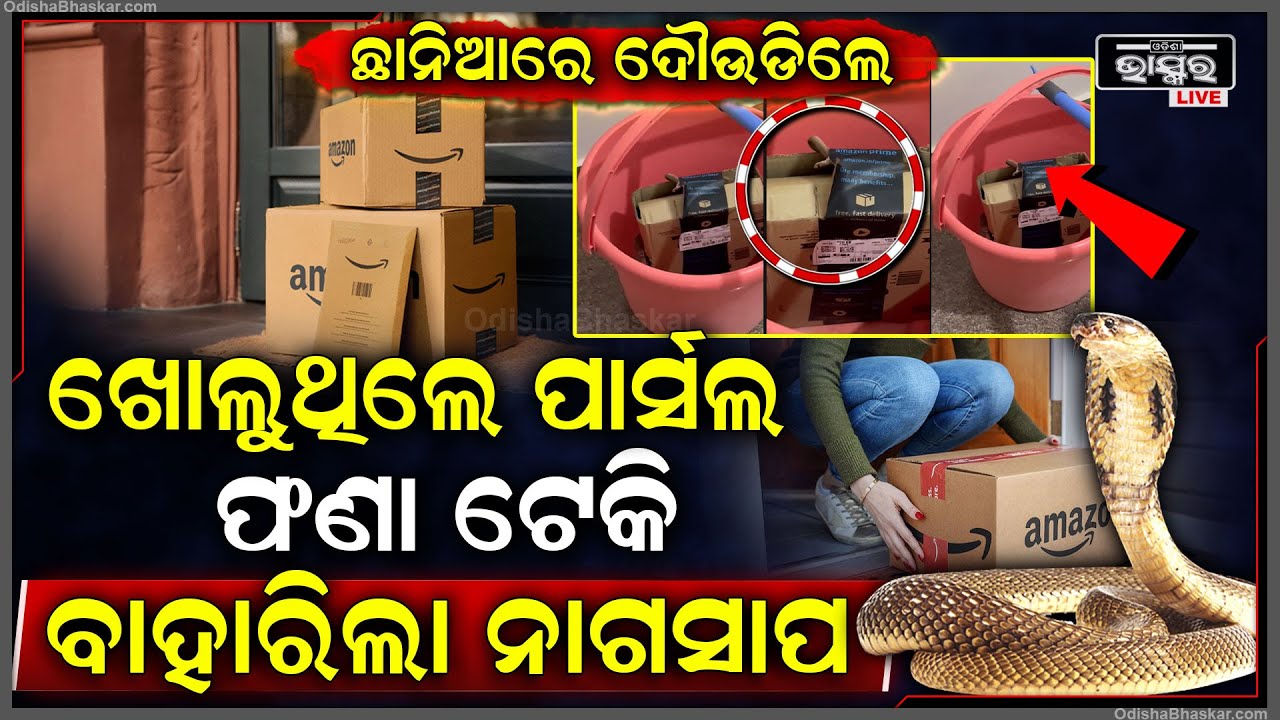 ଆମଜାନରୁ ଅର୍ଡର କରିଥିଲେ ଦମ୍ପତି, ବେଶ ଖୁସିରେ ଖୋଲୁଥିଲେ ପାର୍ସଲ...ହେଲେ ପେଟି ଭିତରୁ ଯାହା ବାହାରିଲା ତାକୁ ଦେଖି..