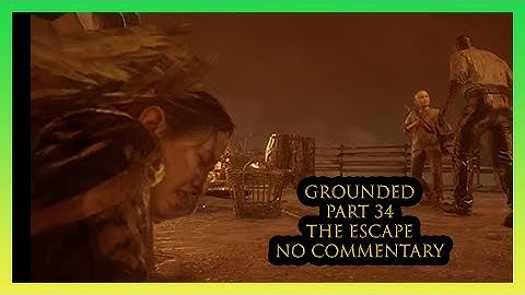 The Last of Us Part 2 (GROUNDED) (PART 34) NO COMM. The Escape  PS4 Pro