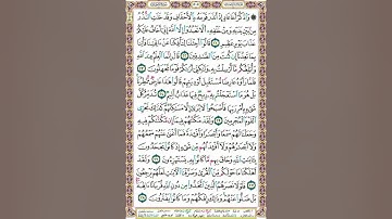 سورة اﻷحقاف/الغامدي/ 505