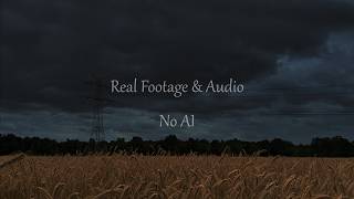 Distant Thunderstorm Over a Windblown Wheat Field | Real Field Recording