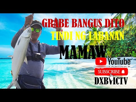 Unbelievable Bangus Showdown! Watch Out For These Mamaw Fighters