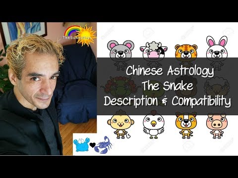 Chinese Astrology: The Snake - Personality U0026 Compatibility