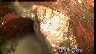 Pete Land 814 N La Grange Road