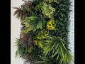 Vidéo: Tropic Mur Végétal Artificiel Exotique et Luxuriant 1M x 1M
