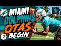Miami Dolphins OTAs Begin