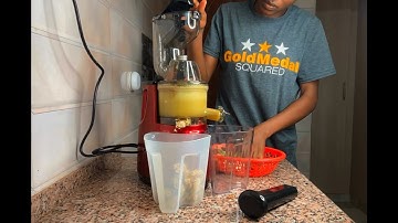 Rebune Slow Juicer Review