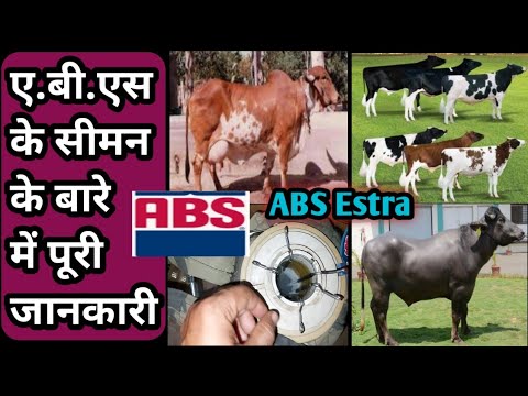 वीडियो: रेड सिमंस कैसा कर रहा है?