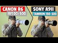 Canon R6 & RF100-500 Vs Sony A9ii & Tamron150-500 Head to Head!