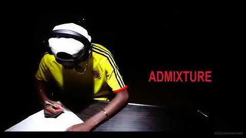 MI MUST SURVIVE BY ADMIXTURE (OFFICIAL VIDEO)