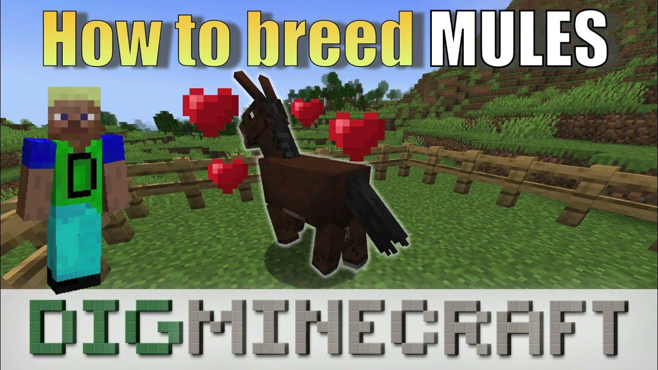 How to breed mules in Minecraft YouTube
