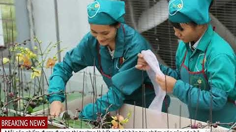 Giới thiệu về HTX Đan Hoài