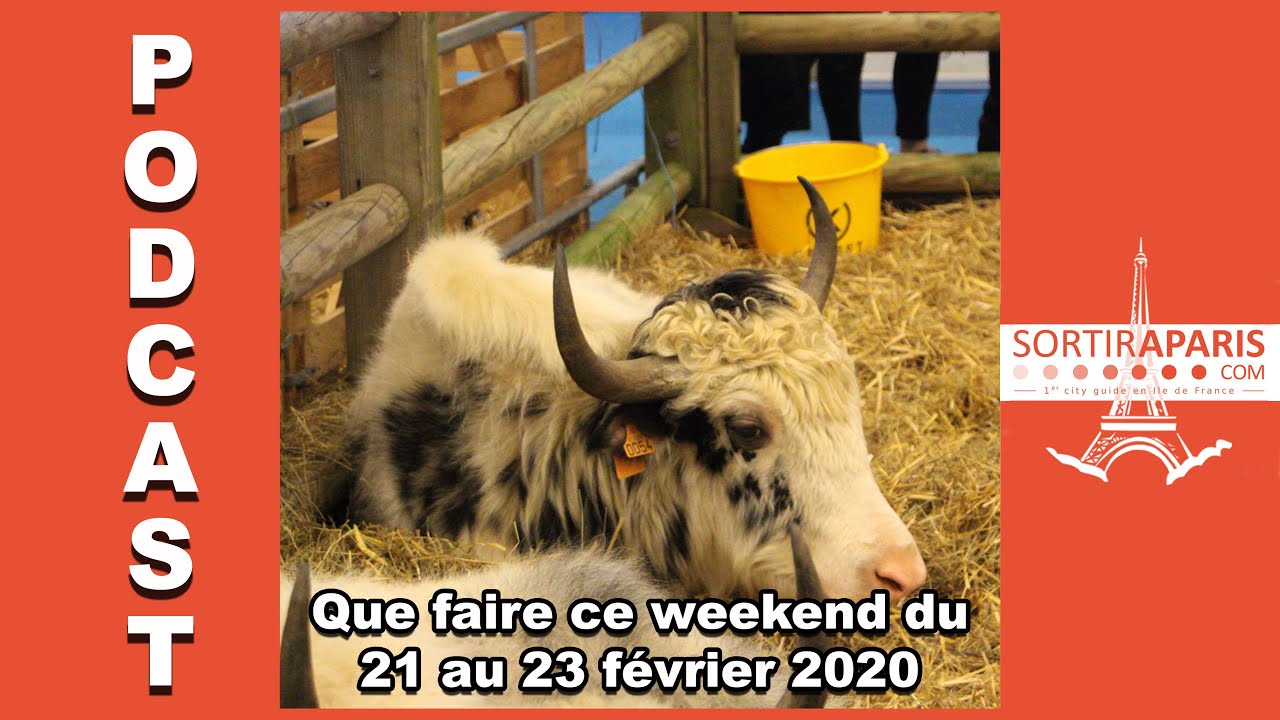 Que Faire A Paris Ce Weekend Du 21 Au 23 Fevrier 2020 Sortiraparis Youtube