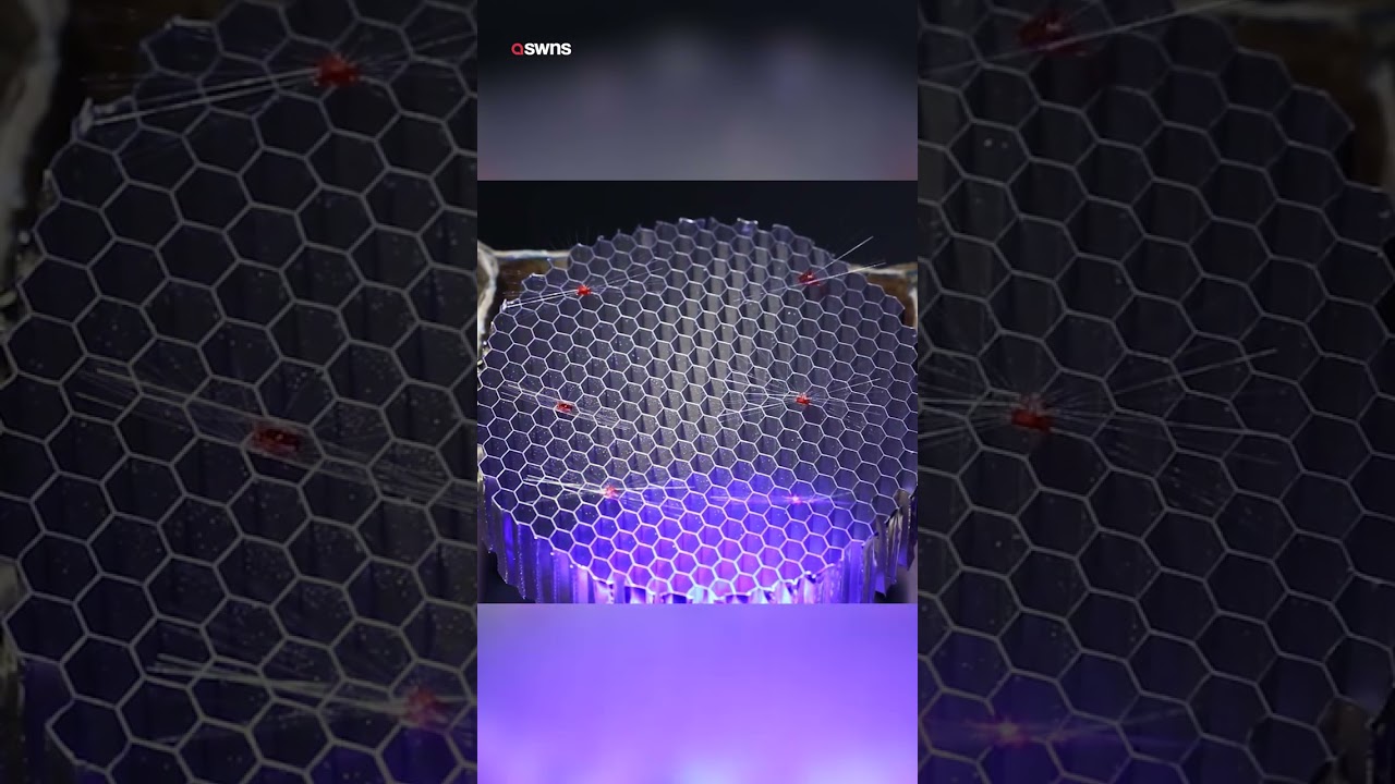 Scientists develop micro robots to pollinate crops