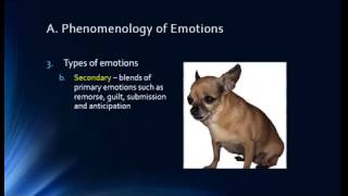 General Psychology Live - Emotions pt 2