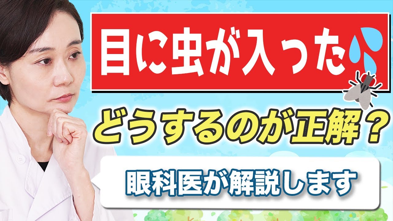目 に 虫 が 入っ た