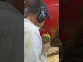 Control the rivet #jeep #mechanic #drill