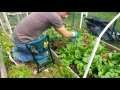 Best Choice Product Foldable Garden Bench Review Best Choice Product Foldable Garden Bench Review