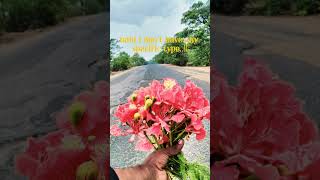 sudhanshu Kumar #bestie #comment