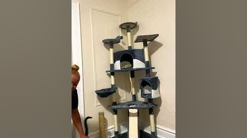 Amazon YAHEETECH 79in Multi-Level Cat Tree Review