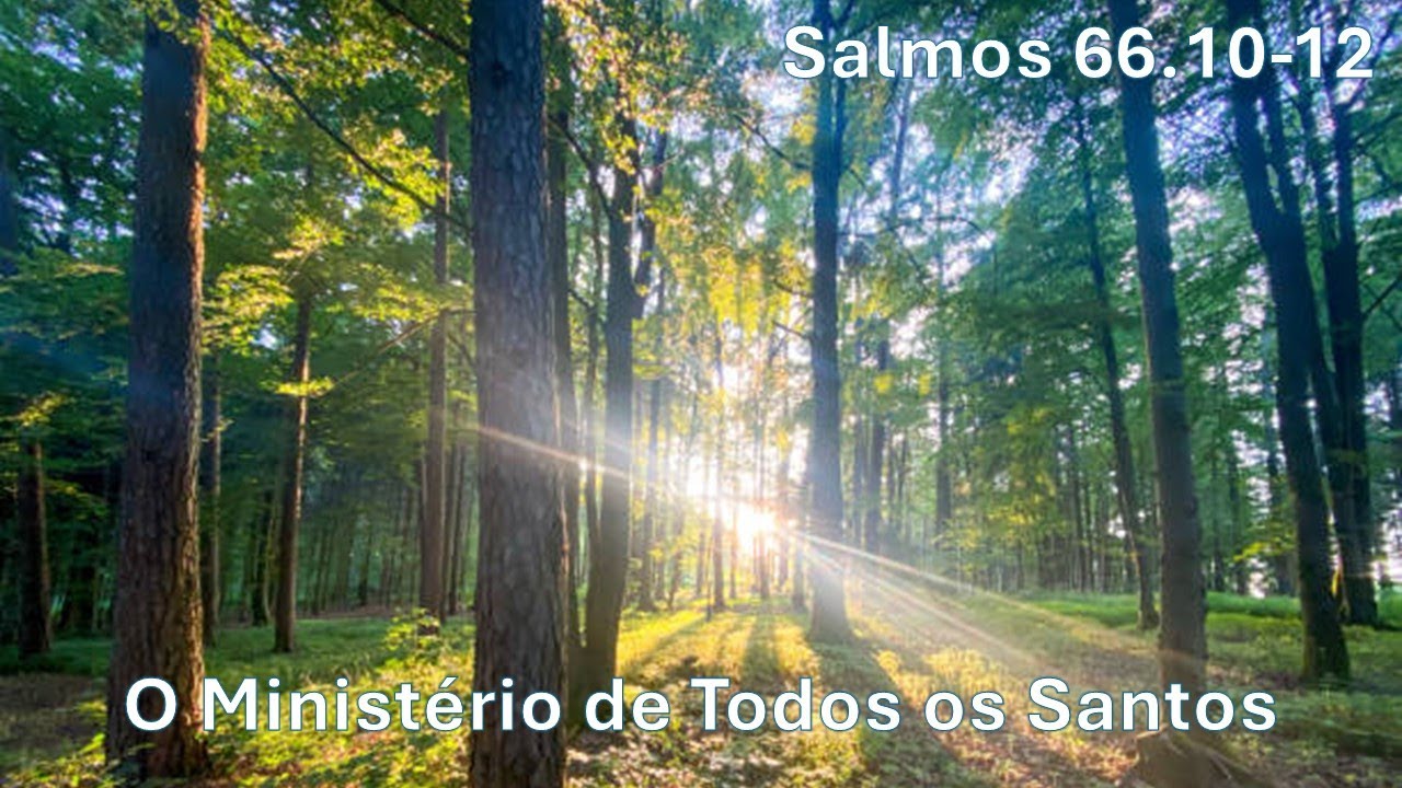 Salmos 66.10-12