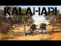 Kalahari 2021 Episode 1- Witsand,Leeupan,Kgalagadi