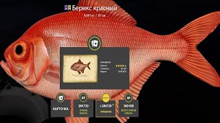 картинка: 📢СТРИМ РР4🔥ВОЛНЫ РЫБЫ ВЕТЕР КАТЕР СОЛНЦЕ-РЫБАЧИМ НА МОРЕ🔥РУССКАЯ РЫБАЛКА 4