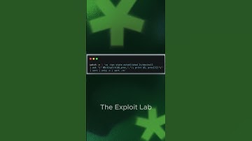 Live Track Active Connections with 1 Command