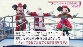 TDLとTDSのチケット　来年3月から変動価格制に(2020年12月22日)