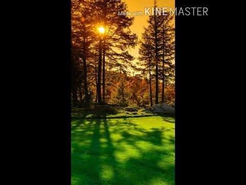 هل يعتبر الخوف من الذهاب الى العمرة او الحج بسبب كورونا ضعف في الايمان