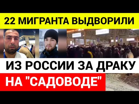 В толпе мигрантов были и женщины, напавшие на полицию на "Садоводе"