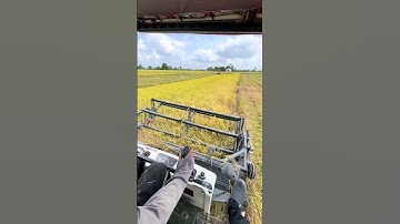 Máy Cắt Lúa Kubota DC 105X 2024