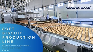2025 Automatic Soft Biscuit Production Line Turnkey Project Golden Bake