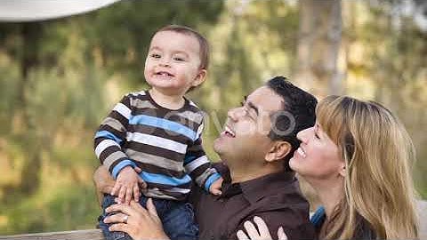 Paper Transistion | Motion Graphics - Envato elements