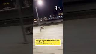 Ankara’da bir makinist, garda karşılaştığı köpeğe yemek verdi. Köpek, treni asla unutmadı