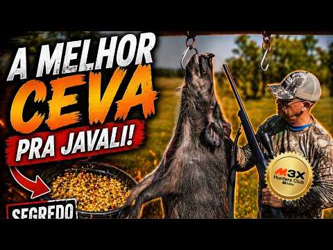 The Best Bait for Wild Boar