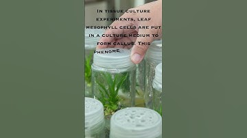 Biology #shorts #neet