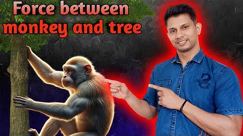 HC Verma The forces Ch 4 Exercise Q5 | Monkey on a Tree! 🐒 Total Force Mystery Solved!