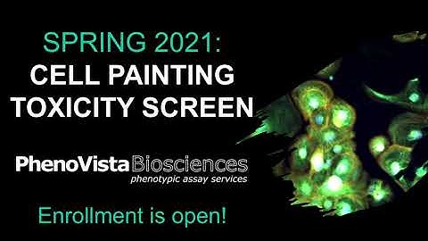 Cell Painting Toxicity Screen: Spring 2021