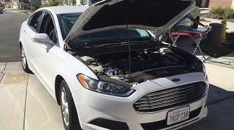 2007 Ford Fusion Windshield