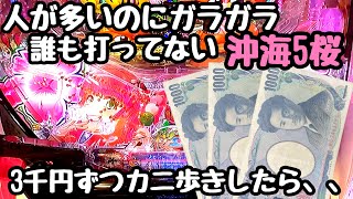 人が多いのに誰も打ってない沖海5桜を3,000円ずつカニ歩きしてお金を増やしてみる。【Pスーパー海物語 IN 沖縄5 桜ver.199】