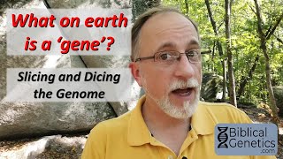 What on earth is a gene? Slicing and dicing the genome.
